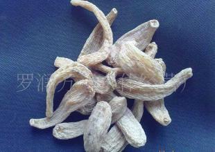 云南麗江天麻(目前接受預(yù)定,產(chǎn)期到可發(fā)貨)_醫(yī)藥、保養(yǎng)_世界工廠網(wǎng)中國產(chǎn)品信息庫