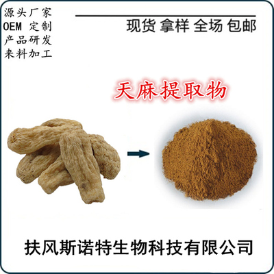 天麻提取物粉 天麻粉 天麻速溶粉 廠家自銷 量大優惠